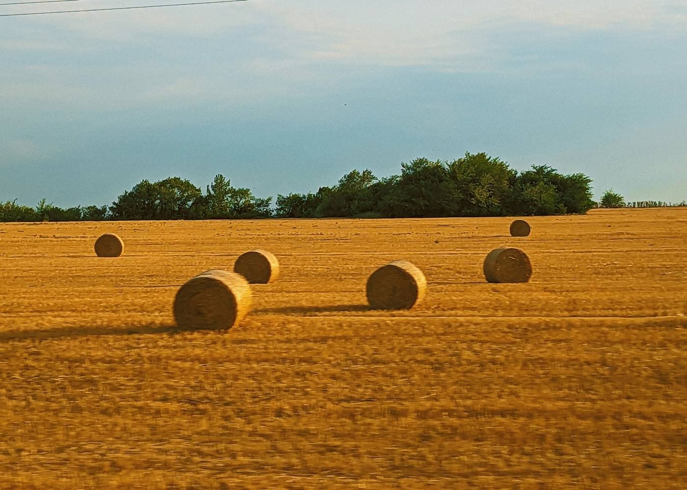 Hay bales on working agricultural land